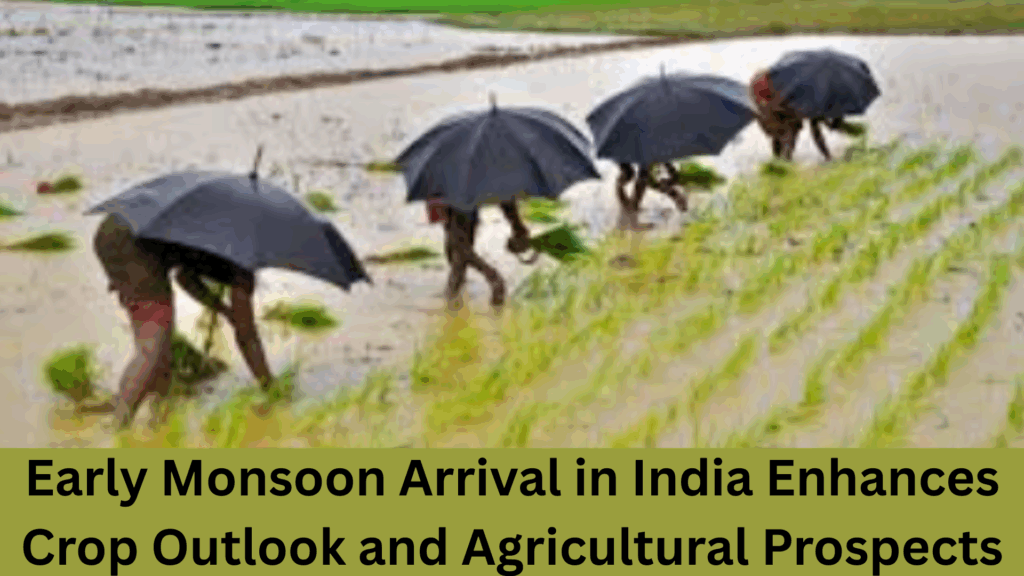 Early Monsoon Arrival in India Enhances Crop Outlook and Agricultural Prospects