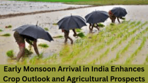 Early Monsoon Arrival in India Enhances Crop Outlook and Agricultural Prospects